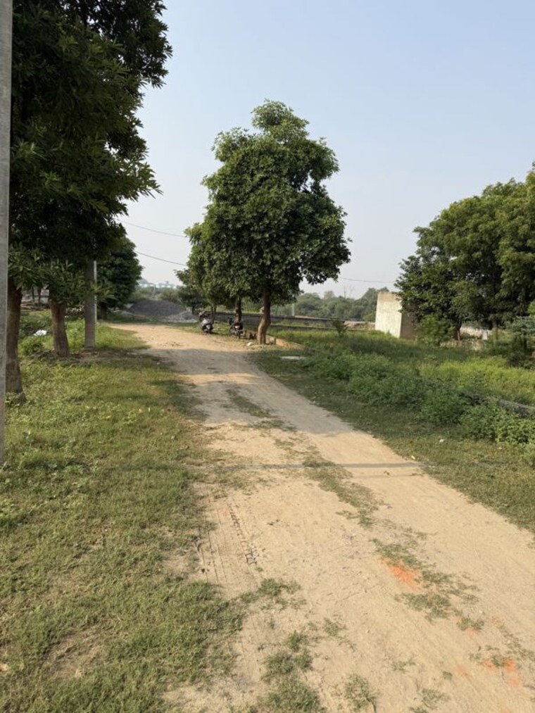 Garden, dankaur  100 Sq.Yd. Plot In Dankaur Greater Noida 10757837