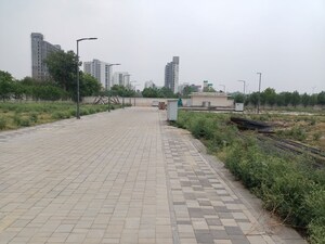   Plot at Sector 10 – for Sale