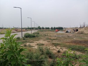 Plot Area in  Plot at Sector 10 – for Sale