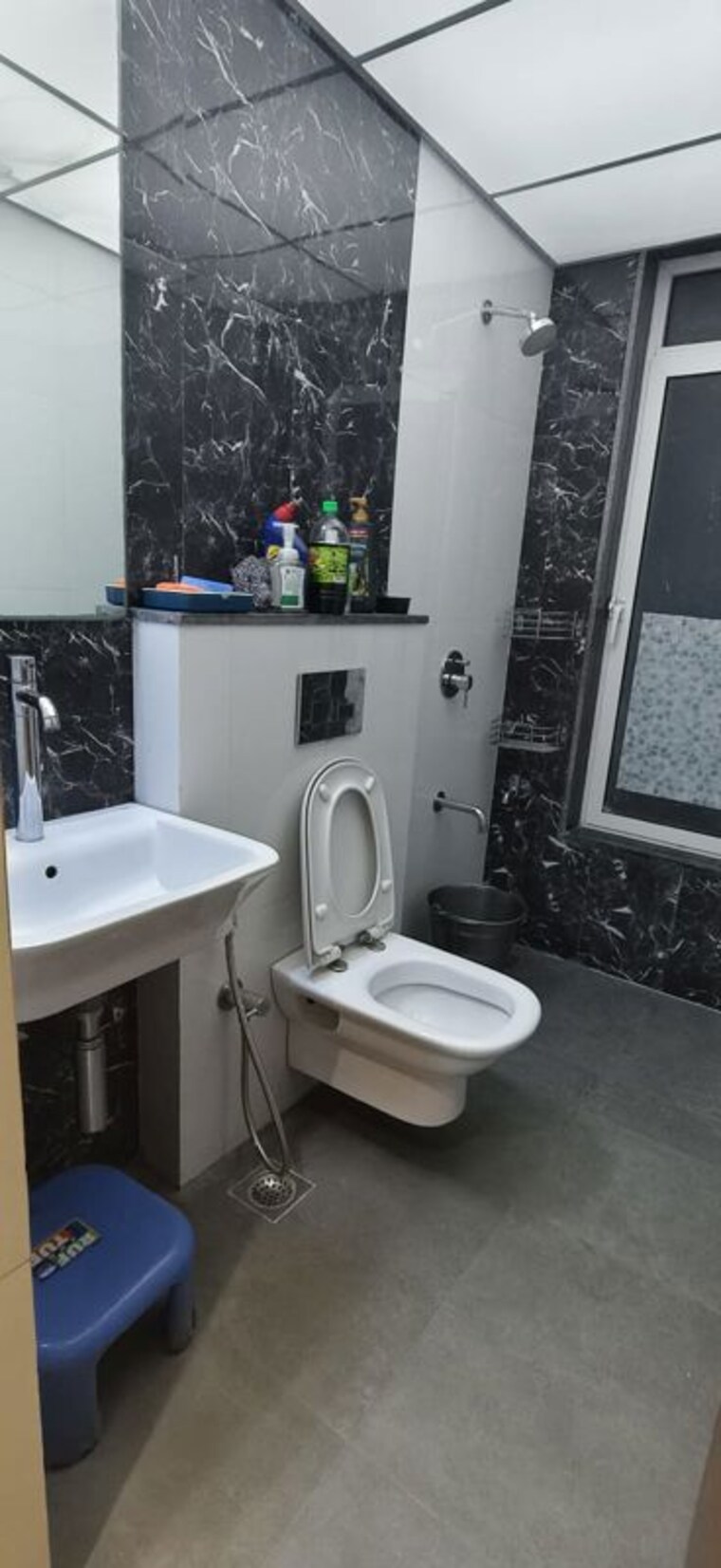Bathroom, courtyard-by-narang-realty-and-the-wadhwa-group 2 Bedroom 560 Sq.Ft. Apartment In Pokhran Road No Two Thane 10757955