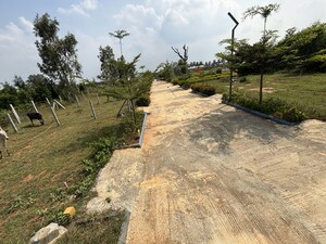 Plot Area in  Plot at Anekal – for Sale
