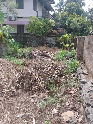 Plot Area in  Plot at Kuttanellur – for Sale