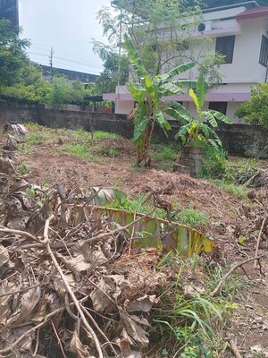 Plot Area in  Plot at Kuttanellur – for Sale