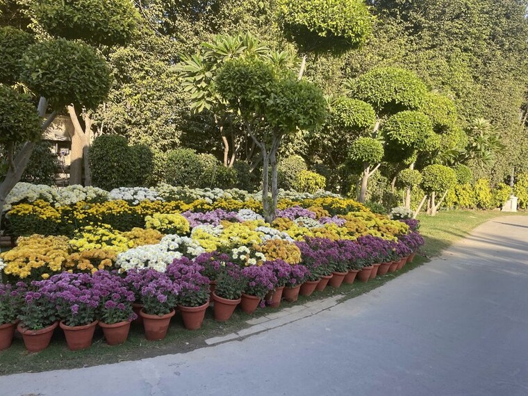 Garden, central-park-ii-the-room 2 Bedroom 1500 Sq.Ft. Apartment In Sector 48 Gurgaon 10758339