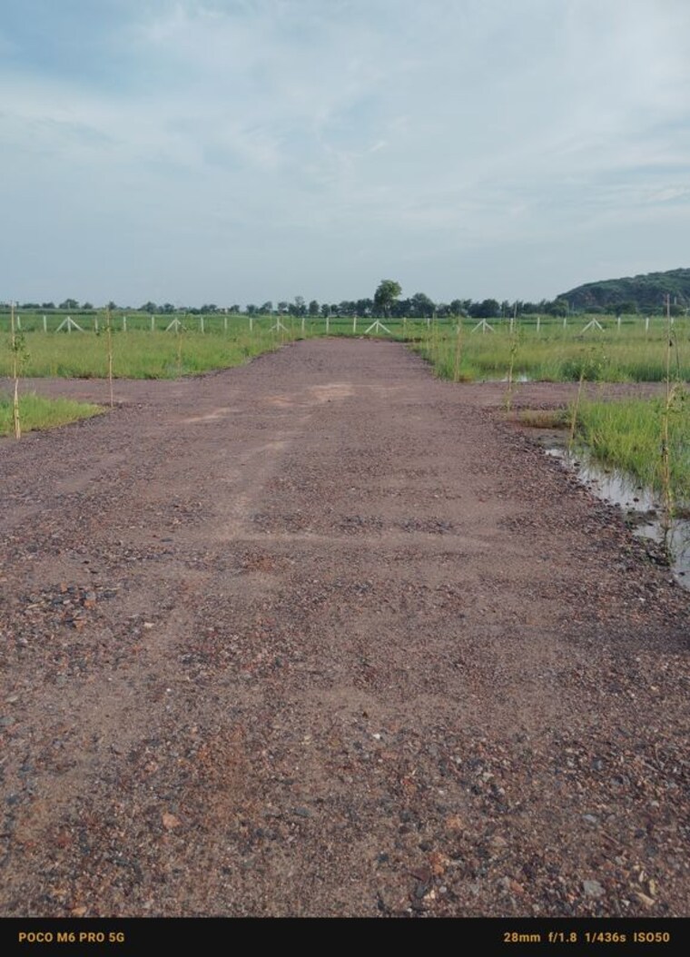 undefined, sohna  900 Sq.Ft. Plot In Sohna Gurgaon 10758560