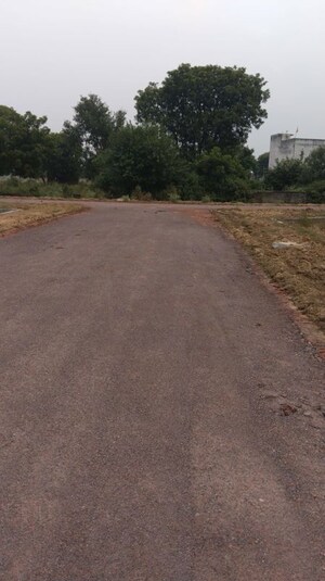 Plot Area in  Plot at Pali – for Sale