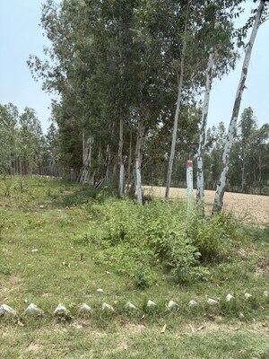  Plot – Exterior View View at Behat Road - for Sale