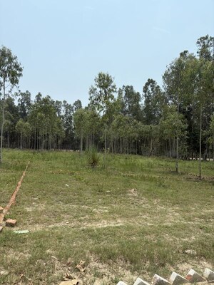 Plot For Sale in Behat Road