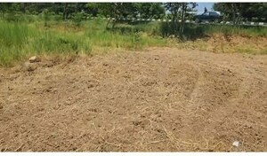  Land For Rent in Sadashivpet