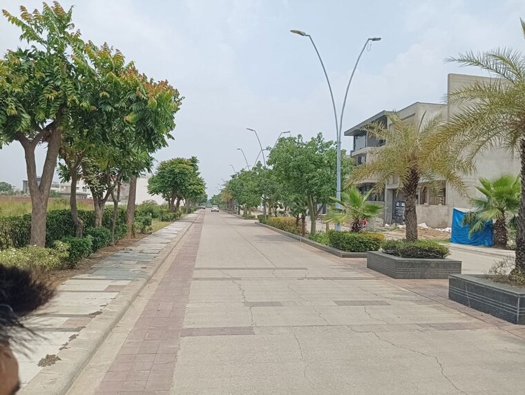 Exterior View, dlf-central-square  350 Sq.Yd. Plot In North Mullanpur Chandigarh 10758193