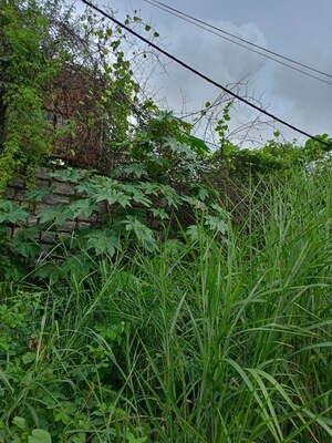 Plot Area in  Industrial Plot at Bannerghatta – for Sale