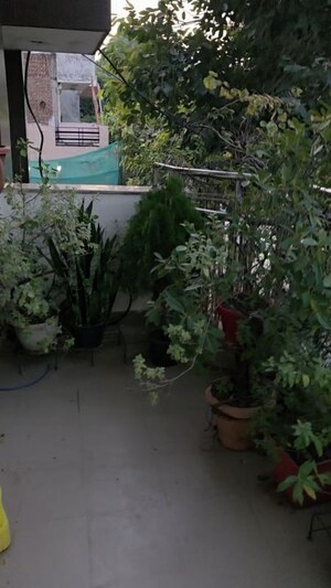 3 BHK Builder Floor – Exterior View View at Sector 10 - for Rent