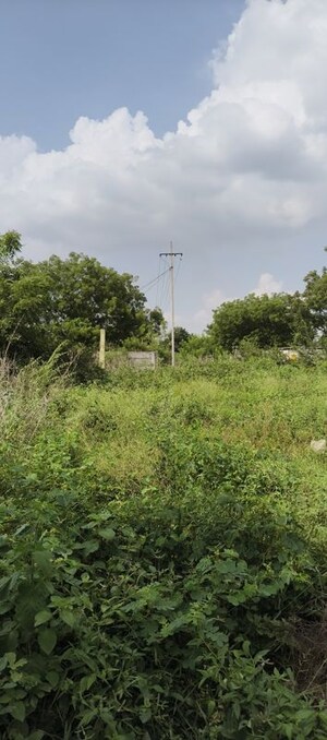 Plot Area in  Land at Medi Palle – for Sale