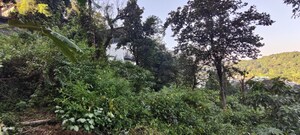  Plot – Garden View at Johri - for Sale