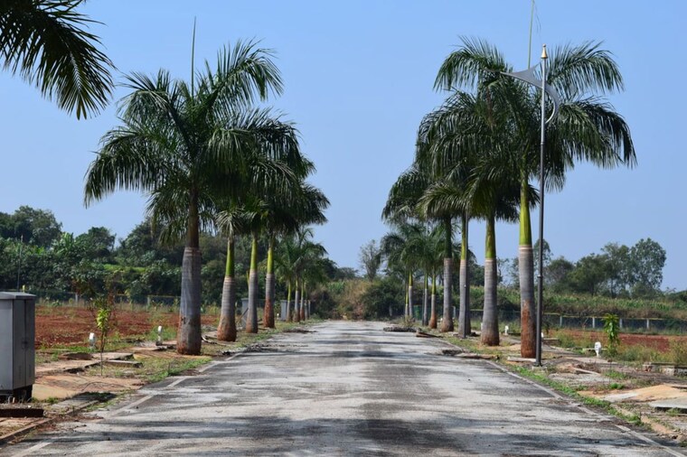 Exterior View, mrr-horizon  2400 Sq.Ft. Plot In Mysore Road Bangalore 10760295