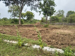  Plot For Sale in Lahari Alekhya, Bhanur