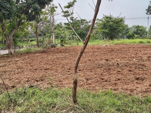 Plot Area in  Plot at Lahari Alekhya, Bhanur – for Sale
