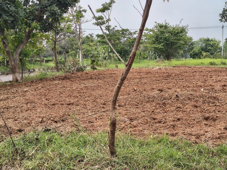 undefined, lahari-alekhya  200 Sq.Yd. Plot In Bhanur Hyderabad 10760479