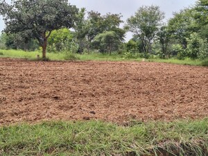 Plot Area in  Plot at Lahari Alekhya, Bhanur – for Sale