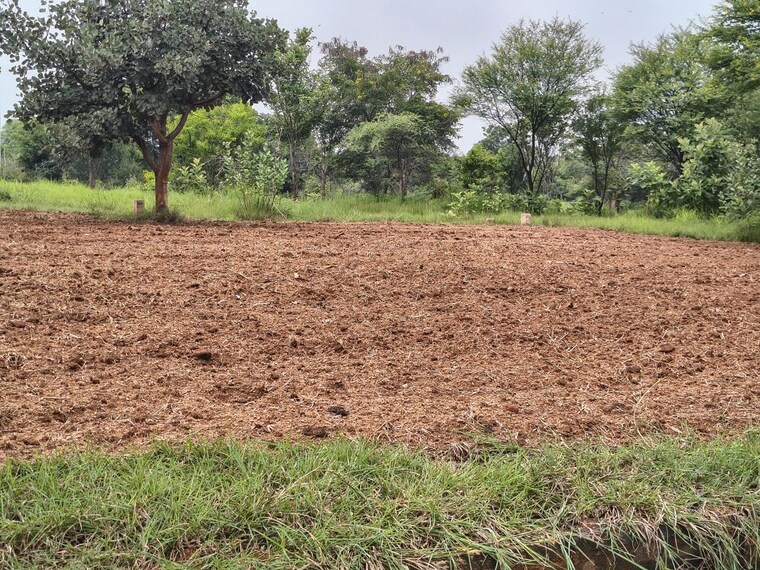 undefined, lahari-alekhya  200 Sq.Yd. Plot In Bhanur Hyderabad 10760479