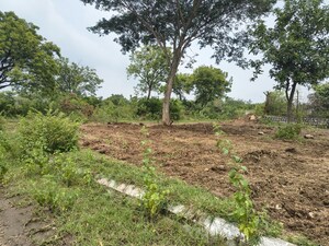 Plot Area in  Plot at Lahari Alekhya, Bhanur – for Sale