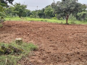 Plot Area in  Plot at Lahari Alekhya, Bhanur – for Sale