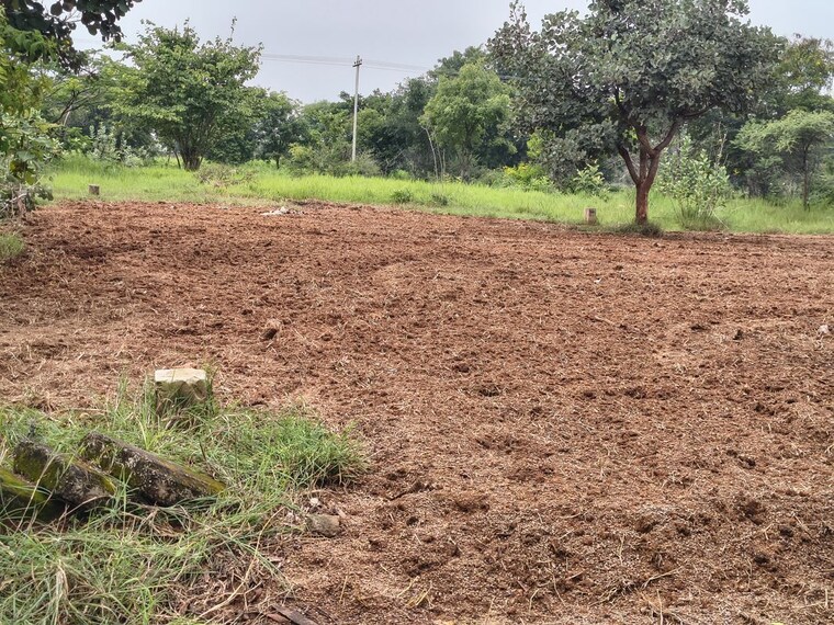 undefined, lahari-alekhya  200 Sq.Yd. Plot In Bhanur Hyderabad 10760479