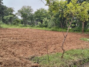 Plot Area in  Plot at Lahari Alekhya, Bhanur – for Sale