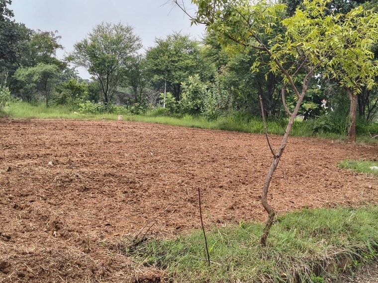 undefined, lahari-alekhya  200 Sq.Yd. Plot In Bhanur Hyderabad 10760479