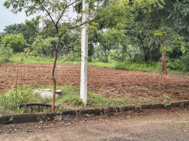 undefined, lahari-alekhya  200 Sq.Yd. Plot In Bhanur Hyderabad 10760479