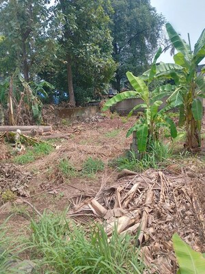 Plot Area in  Plot at Kuttanellur – for Sale