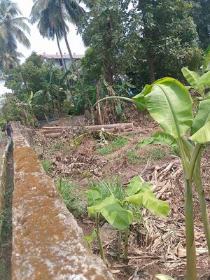 Plot Area in  Plot at Kuttanellur – for Sale