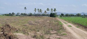 Plot Area in  Land at Pataudi – for Sale