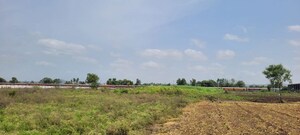 Plot Area in  Land at Pataudi – for Sale