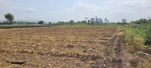 Plot Area in  Land at Pataudi – for Sale