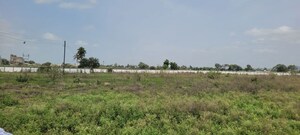 Plot Area in  Land at Pataudi – for Sale