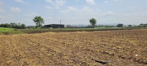  Land For Sale in Pataudi