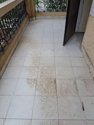 3.5 BHK Builder Floor For Rent in Orchid Island, Sector 51