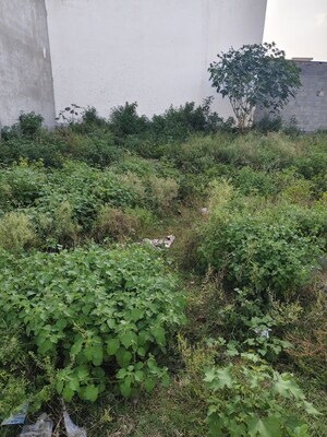  Land For Rent in Manyawas