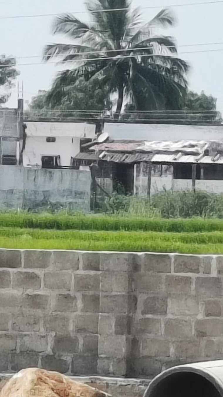 Exterior View, shadnagar  167 Sq.Yd. Plot In Shadnagar Hyderabad 10760695