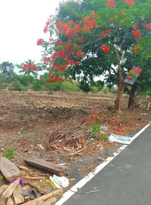  Land – Exterior View View at Koproli - for Sale