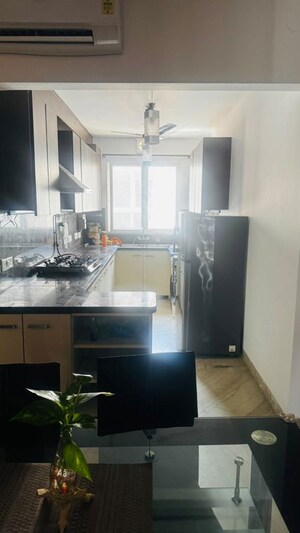 Kitchen in 3 BHK Builder Floor at Safdarjung Development Area – for Rent