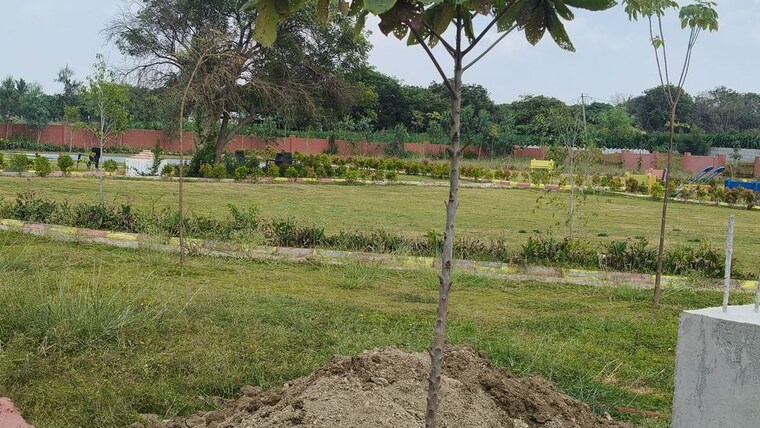 undefined, shadnagar  180 Sq.Yd. Plot In Shadnagar Hyderabad 10761089