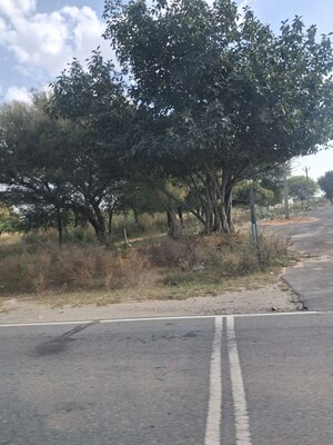  Plot For Sale in Ajeetgarh
