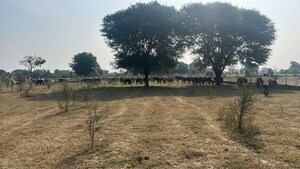 Plot Area in  Plot at Pundhara – for Sale