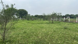 Plot Area in  Plot at Pundhara – for Sale