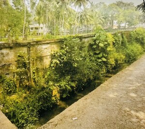Plot Area in  Land at Thadampattuthazham – for Sale