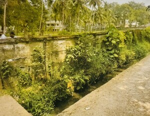 Plot Area in  Land at Thadampattuthazham – for Sale
