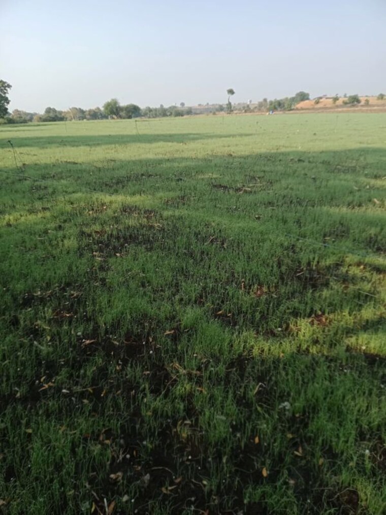 undefined, shri-swasti-greens  1000 Sq.Ft. Plot In Paliya Haider Indore 10762090