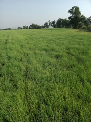  Plot – Garden View at Shri Swasti Greens, Paliya Haider - for Sale